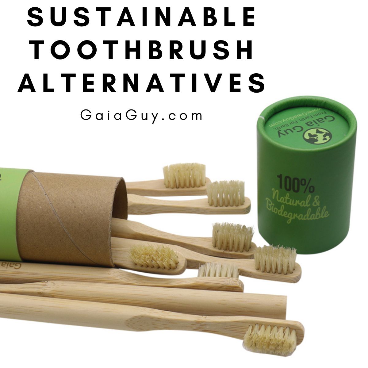 Sustainable Toothbrush Alternatives: Exploring Eco-Friendly and Biodegradable Options