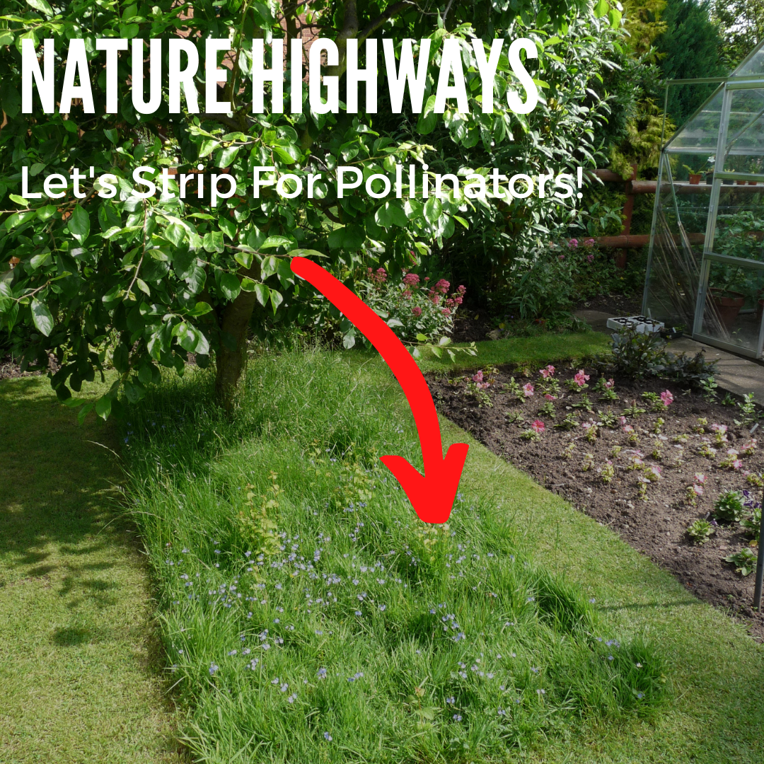 Let's Strip For Pollinators!