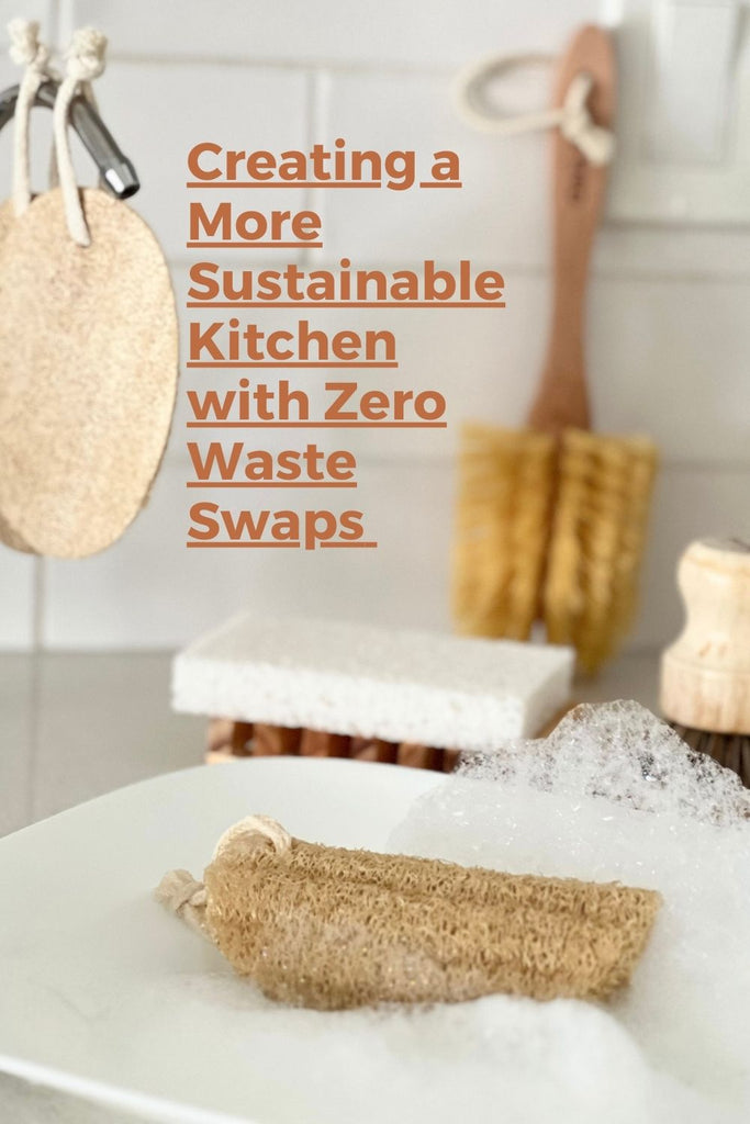 Zero Waste Dish Soap Bar and Pot Scrubber - Eco Girl Shop