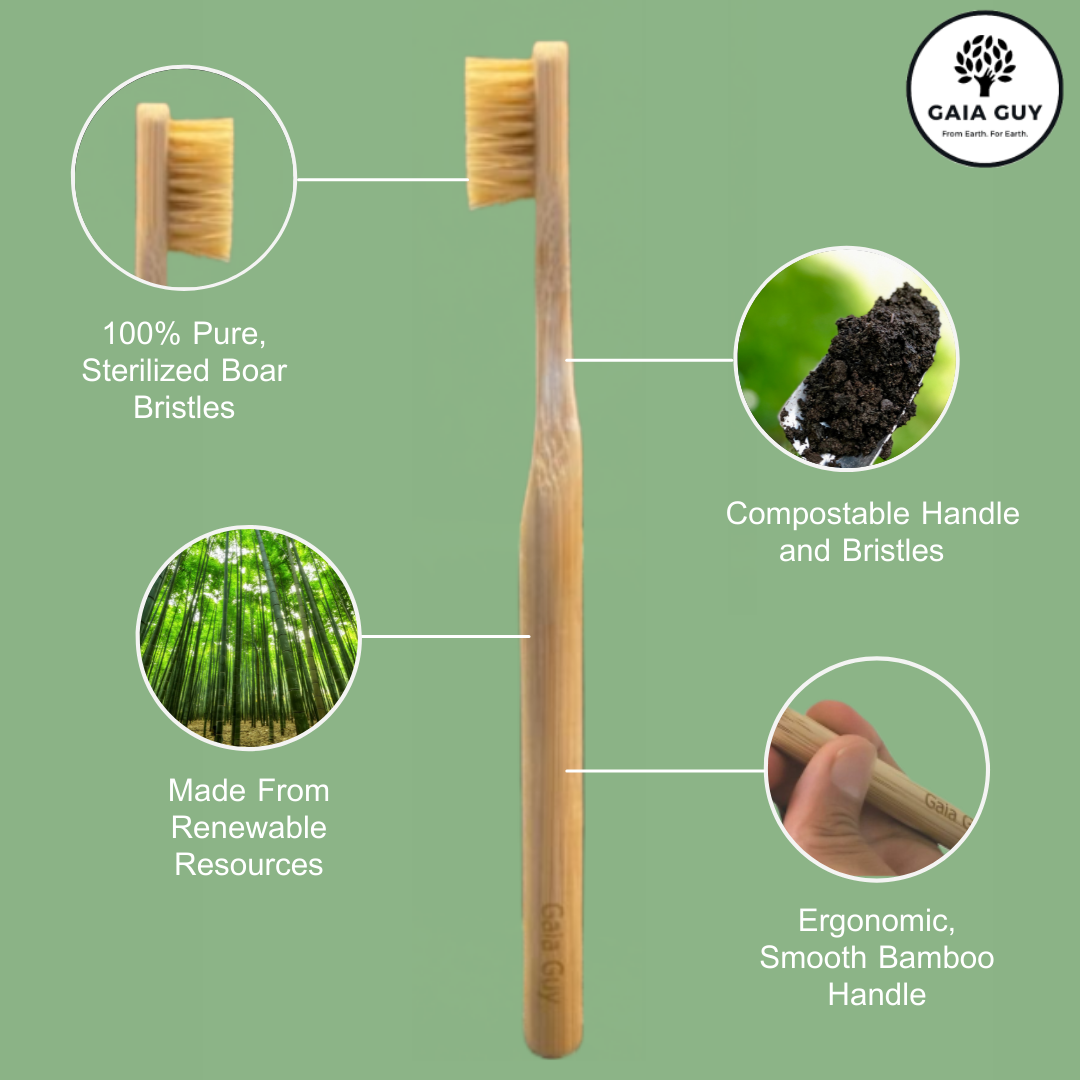 Bamboo and Boar Bristle Toothbrush w/ Silk Floss