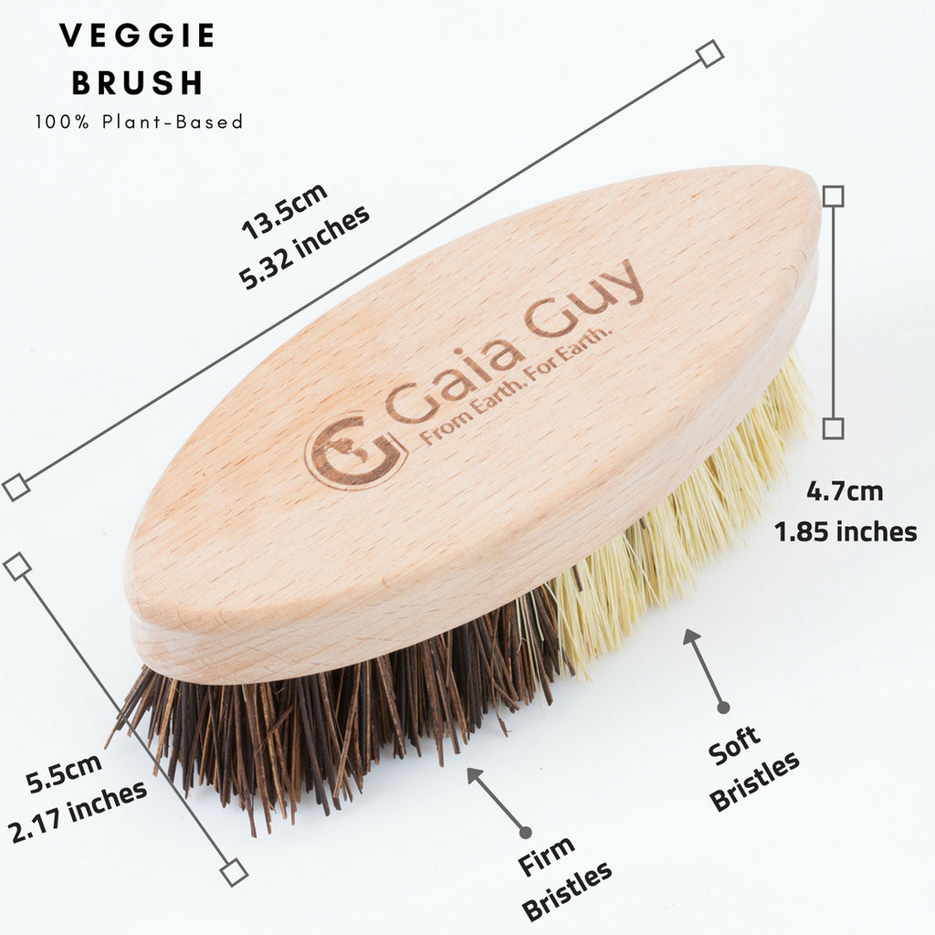 https://www.gaiaguy.com/cdn/shop/products/vegetable_cleaning_brush_dimensions_1024x1024.jpg?v=1658322116
